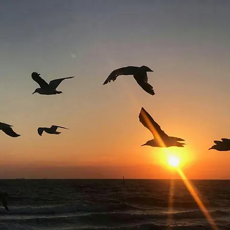 Seafront Artist * غييكا