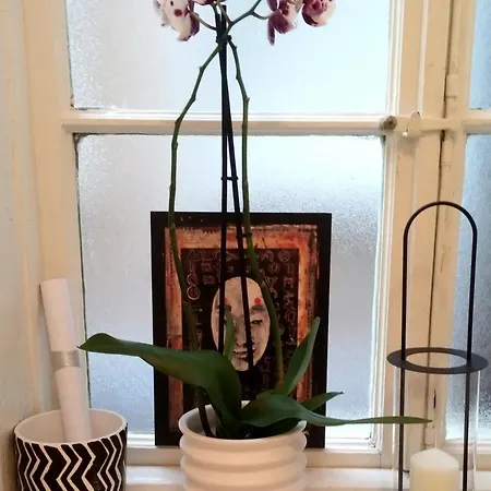 Seafront Artist منزل للإقامة غييكا