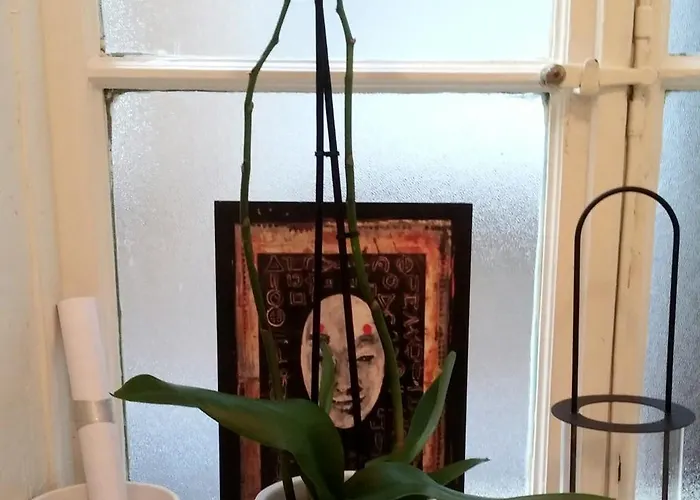 Seafront Artist Séjour chez l'habitant Rijeka