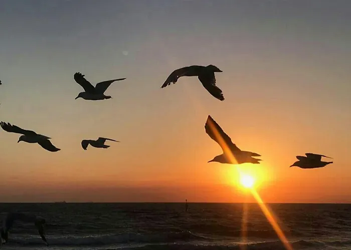 Seafront Artist * Rijeka